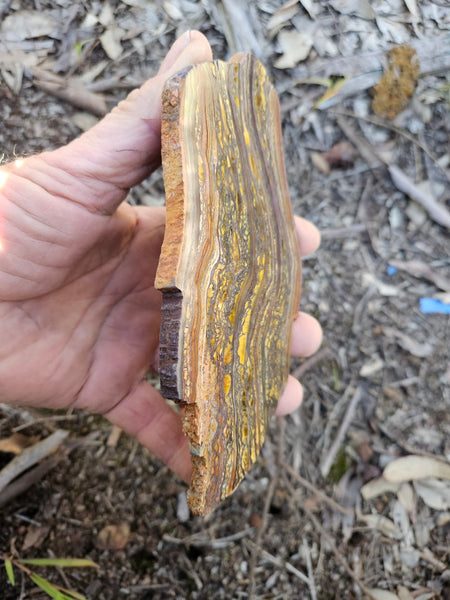Polished Tiger Iron slab TI420