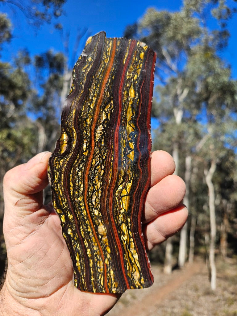 Polished Tiger Iron slab TI421