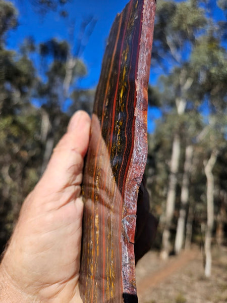 Polished Tiger Iron slab TI421