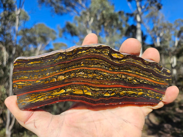 Polished Tiger Iron slab TI421