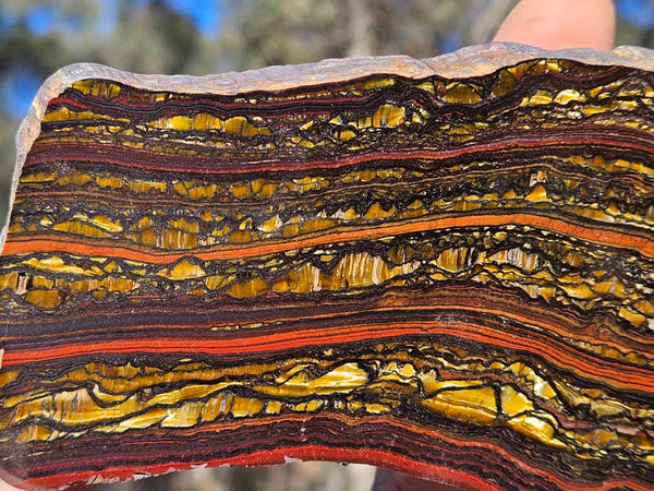 Polished Tiger Iron slab TI421