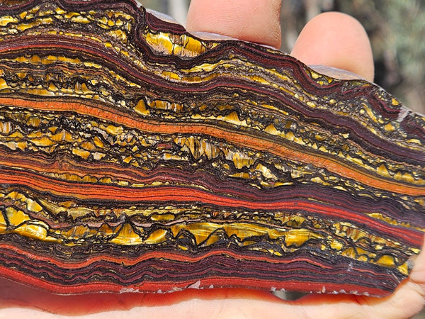 Polished Tiger Iron slab TI421
