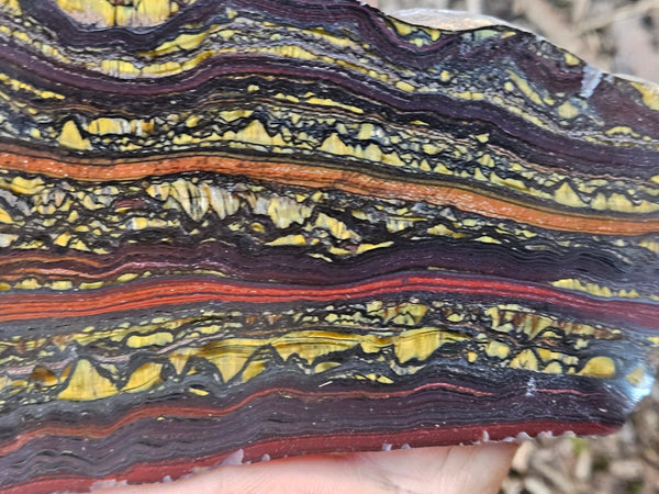 Polished Tiger Iron slab TI421