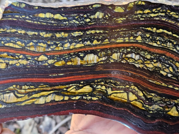 Polished Tiger Iron slab TI421