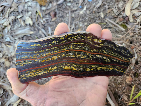 Polished Tiger Iron slab TI421