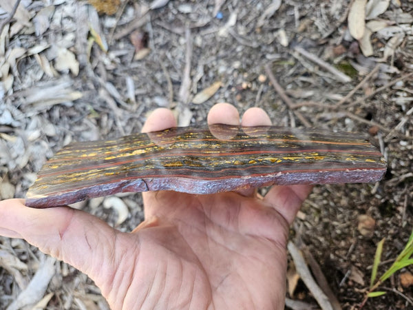 Polished Tiger Iron slab TI421
