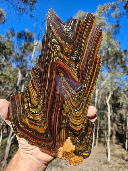 Polished Tiger Iron slab TI419
