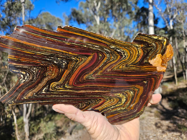 Polished Tiger Iron slab TI419