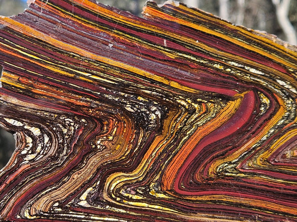 Polished Tiger Iron slab TI419