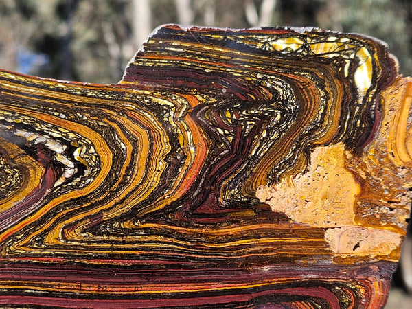 Polished Tiger Iron slab TI419