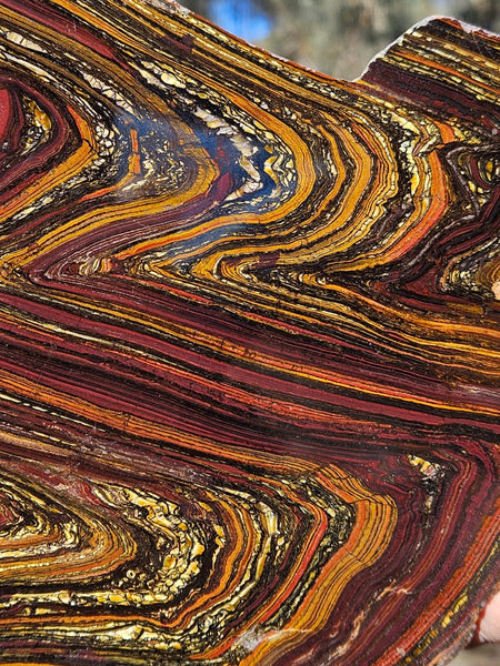 Polished Tiger Iron slab TI419