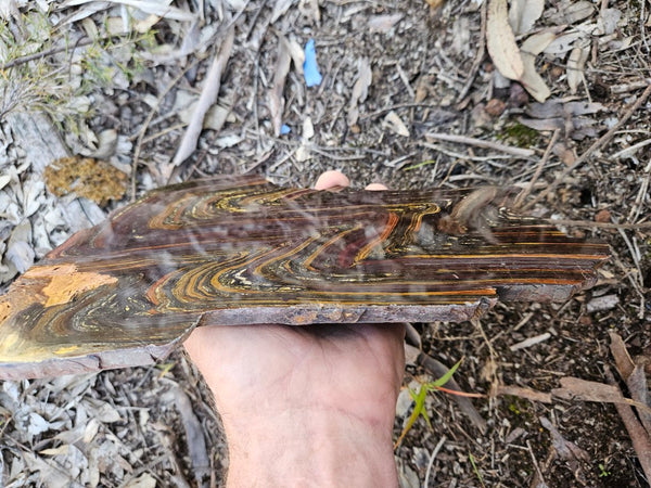 Polished Tiger Iron slab TI419