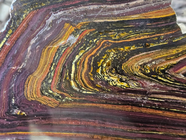 Polished Tiger Iron slab TI419