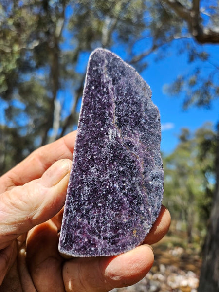 Polished Lepidolite  LEP239