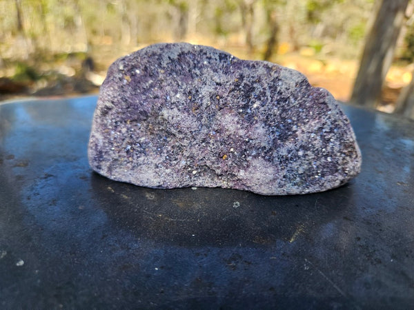 Polished Lepidolite  LEP239