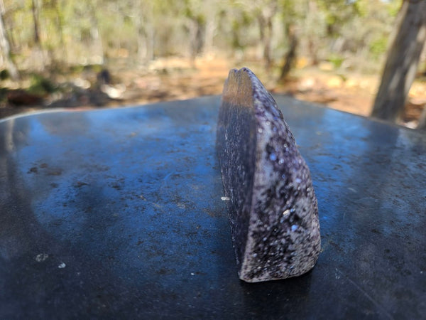 Polished Lepidolite  LEP239
