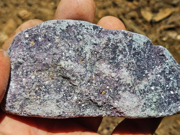 Polished Lepidolite  LEP239