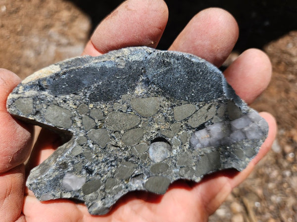 Polished Beaton's Creek auriferous conglomerate slab BC125