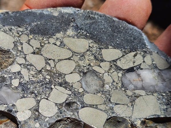Polished Beaton's Creek auriferous conglomerate slab BC125