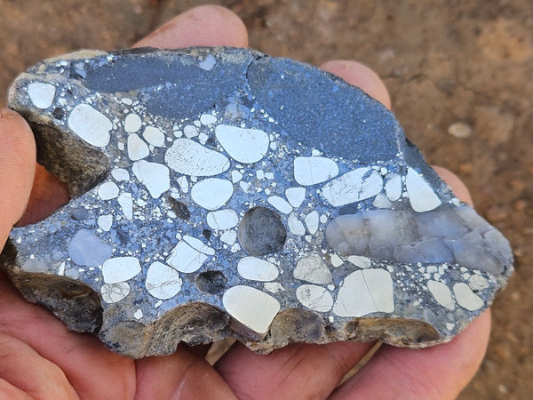 Polished Beaton's Creek auriferous conglomerate slab BC125