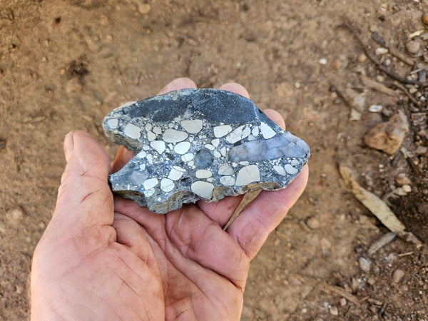 Polished Beaton's Creek auriferous conglomerate slab BC125