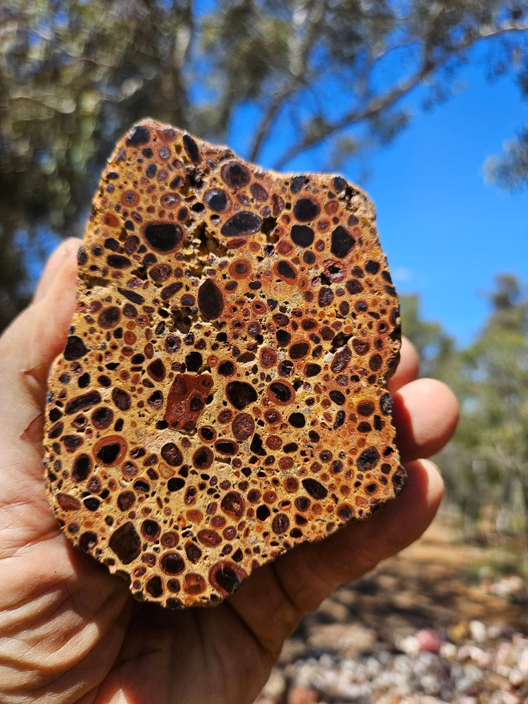 Polished Bauxite BAU138