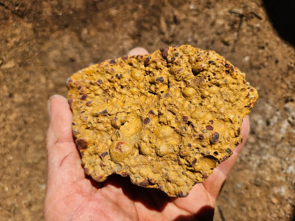 Polished Bauxite BAU138