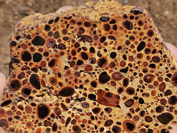 Polished Bauxite BAU138