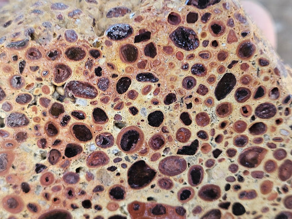 Polished Bauxite BAU138