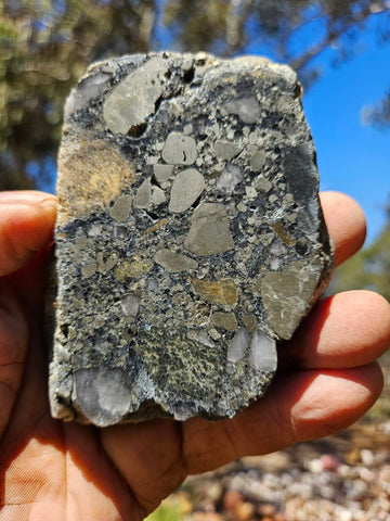 Polished Beaton's Creek auriferous conglomerate slab BC126