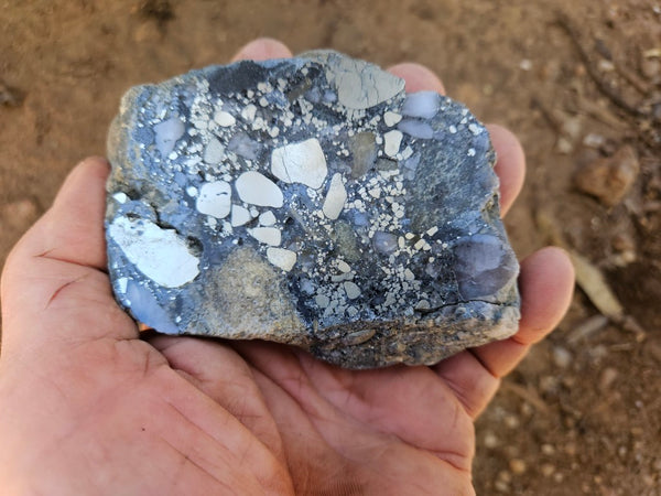 Polished Beaton's Creek auriferous conglomerate slab BC126