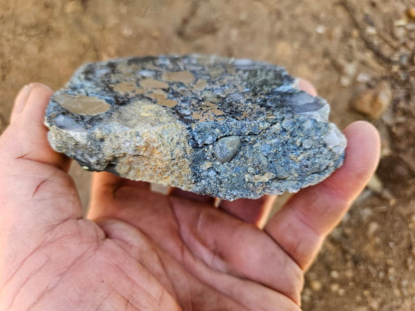 Polished Beaton's Creek auriferous conglomerate slab BC126