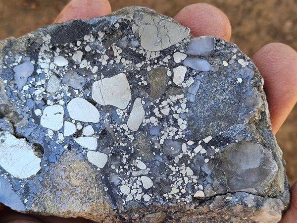 Polished Beaton's Creek auriferous conglomerate slab BC126