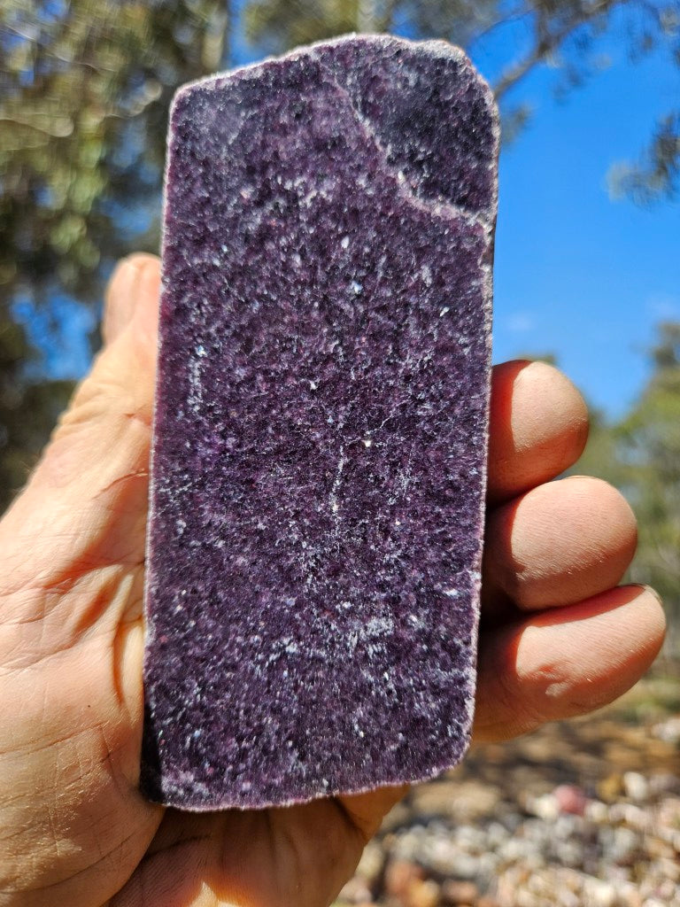 Polished Lepidolite  LEP240
