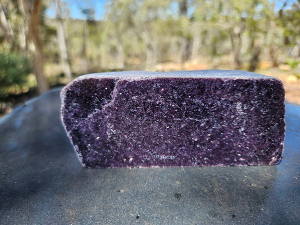 Polished Lepidolite  LEP240