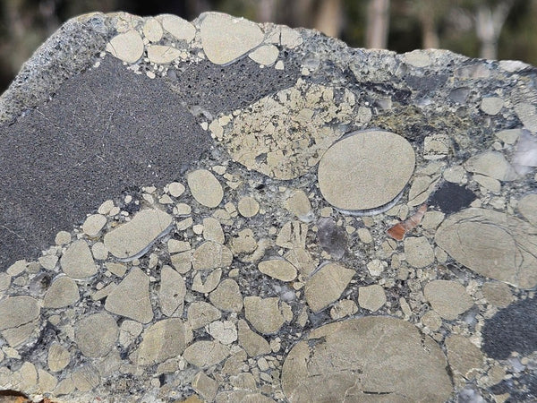 Polished Beaton's Creek auriferous conglomerate slab BC127