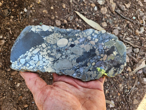 Polished Beaton's Creek auriferous conglomerate slab BC127