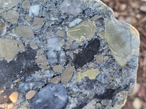 Polished Beaton's Creek auriferous conglomerate slab BC127