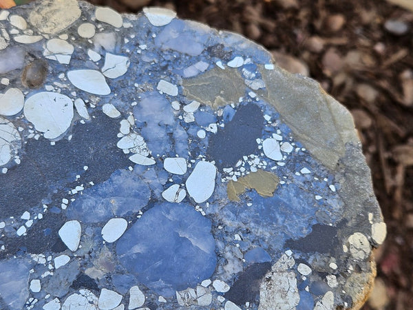Polished Beaton's Creek auriferous conglomerate slab BC127