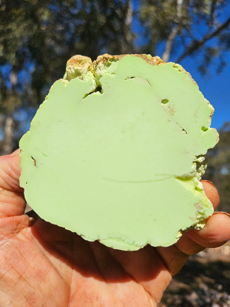 Polished Lime Magnesite specimen. MAP230