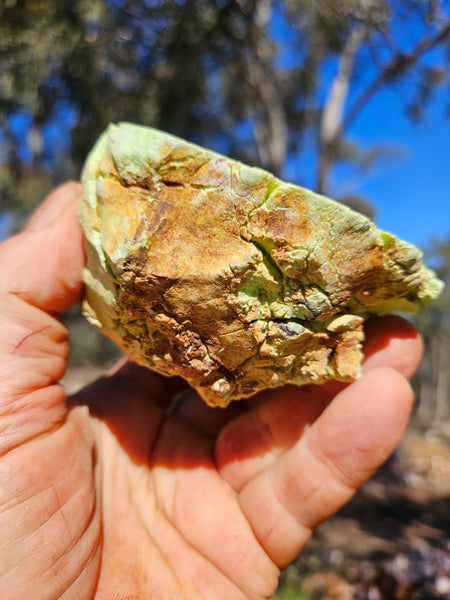 Polished Lime Magnesite specimen. MAP230