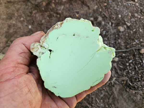 Polished Lime Magnesite specimen. MAP230