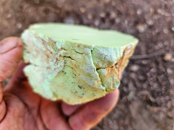 Polished Lime Magnesite specimen. MAP230