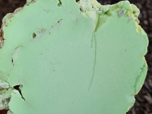 Polished Lime Magnesite specimen. MAP230