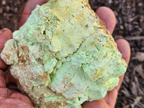 Polished Lime Magnesite specimen. MAP230