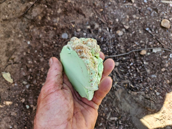 Polished Lime Magnesite specimen. MAP230