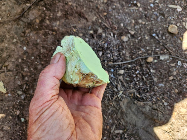 Polished Lime Magnesite specimen. MAP230