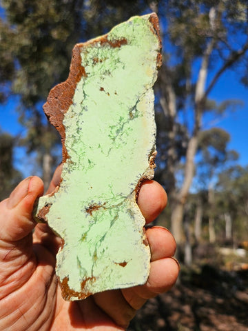 Polished Magnesite slab. MAP227