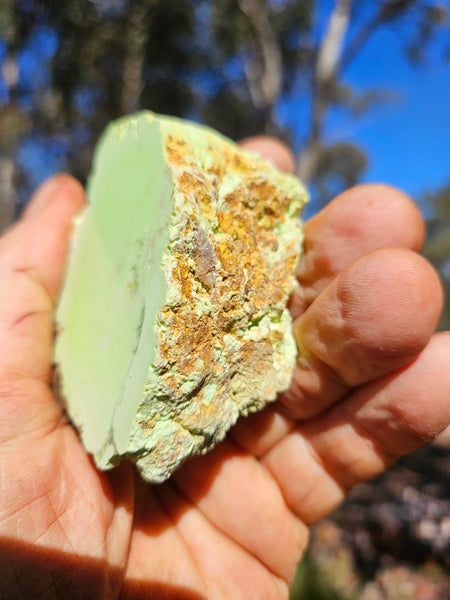 Polished Lime Magnesite specimen. MAP231