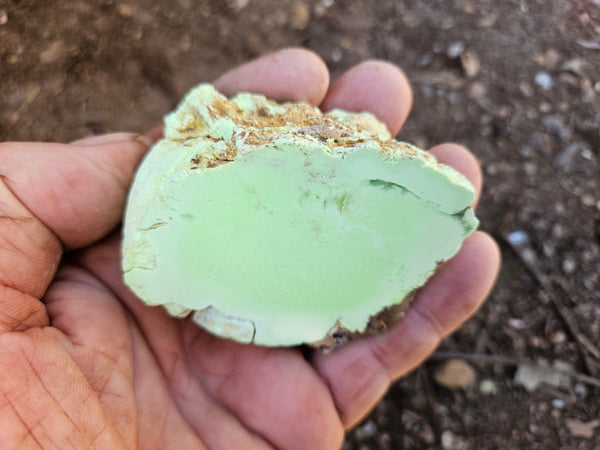 Polished Lime Magnesite specimen. MAP231